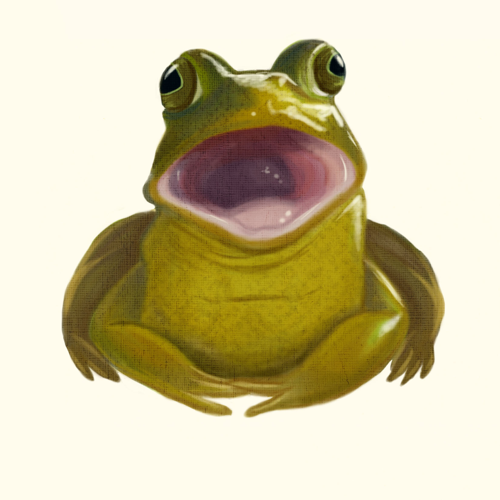 frog2