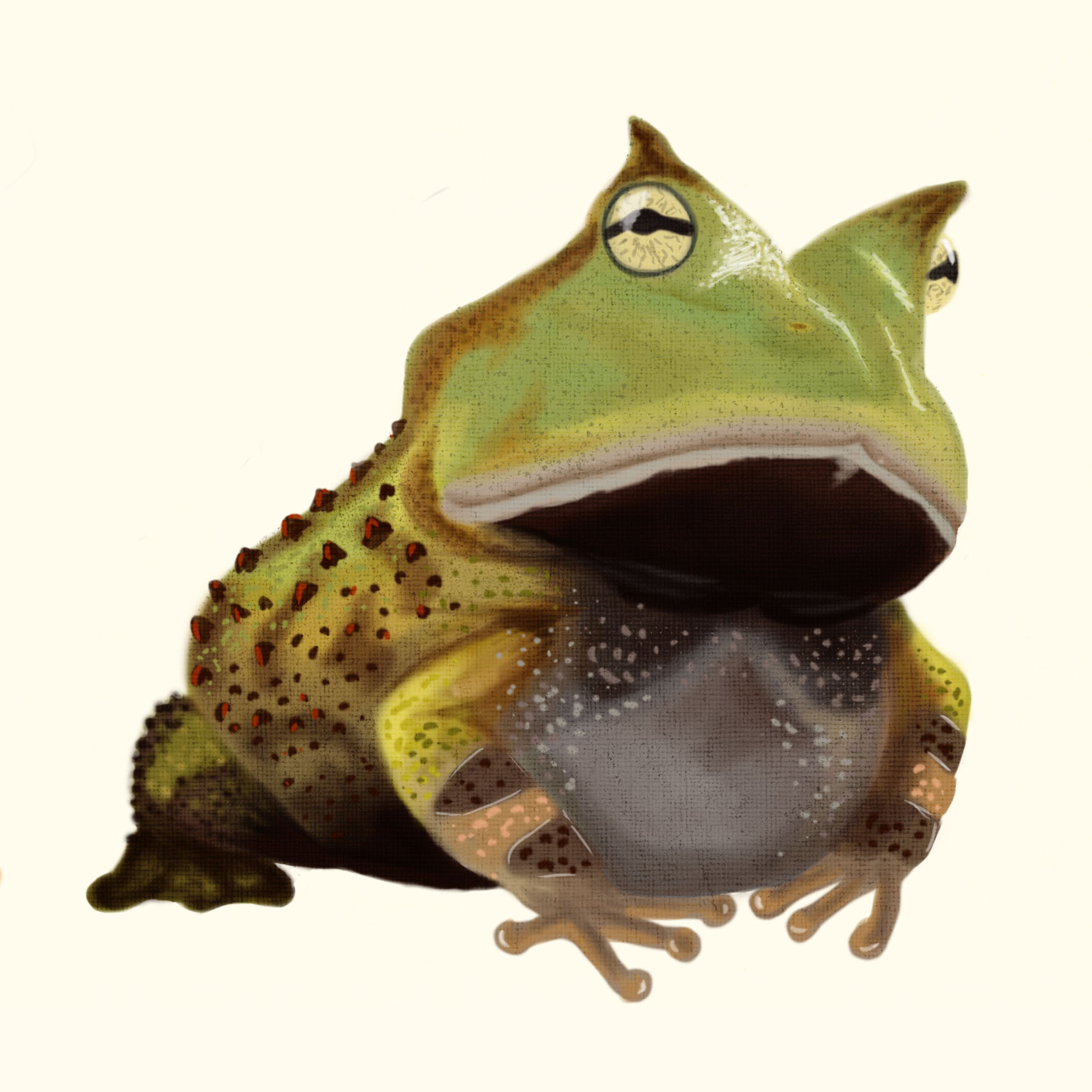 frog6