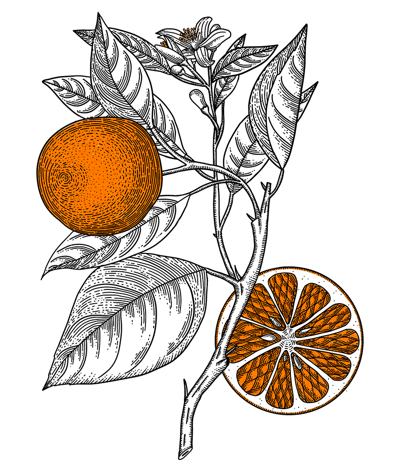 orange_web